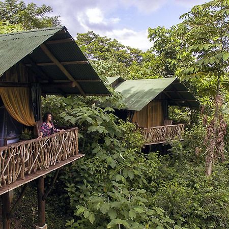 La Tigra Rainforest Lodge La Fortuna المظهر الخارجي الصورة