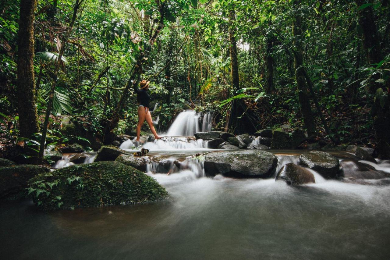 La Tigra Rainforest Lodge La Fortuna المظهر الخارجي الصورة