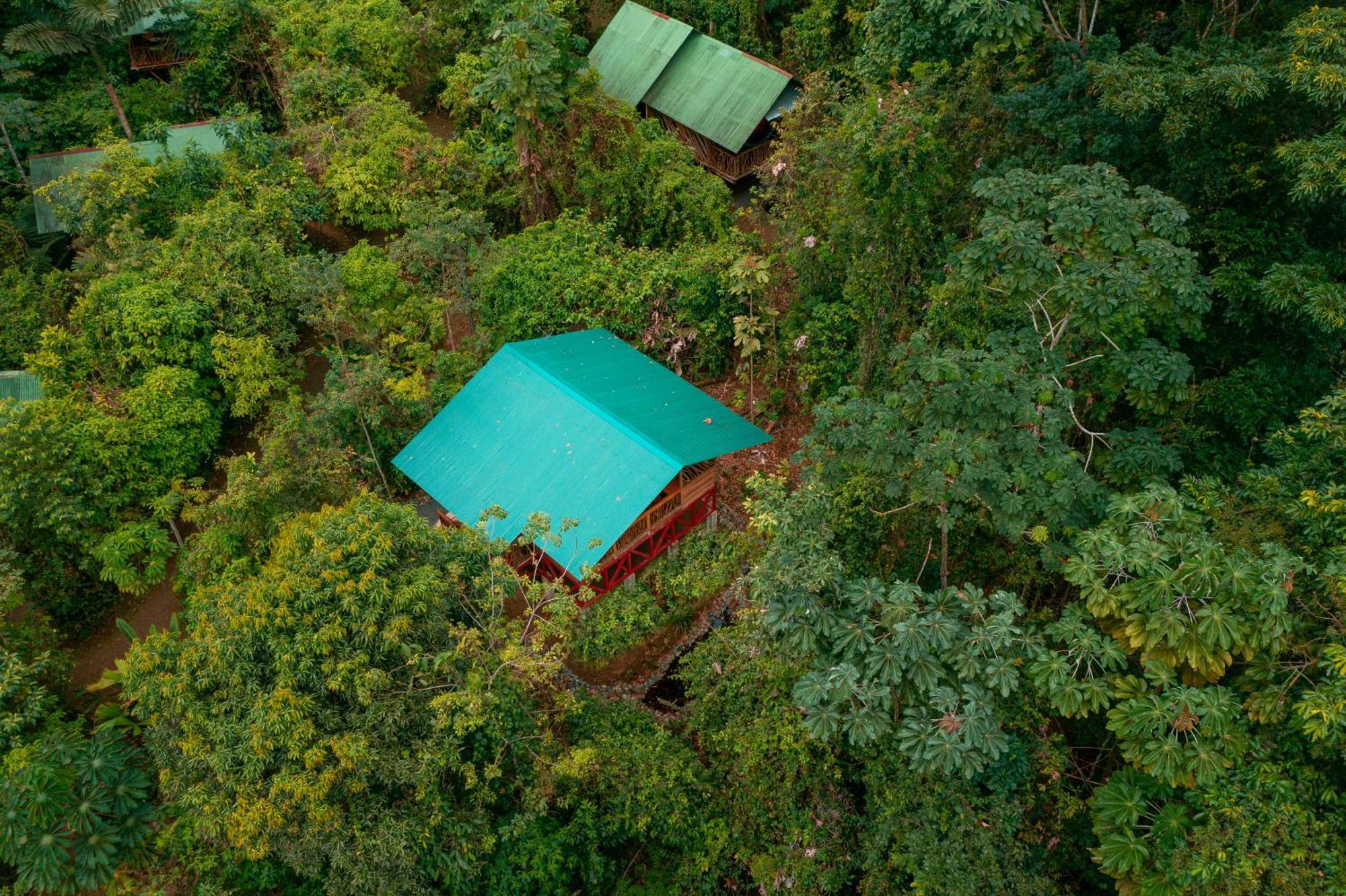 La Tigra Rainforest Lodge La Fortuna المظهر الخارجي الصورة