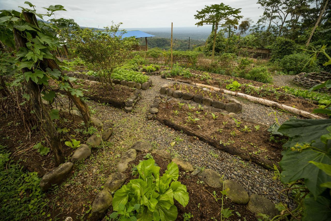 La Tigra Rainforest Lodge La Fortuna المظهر الخارجي الصورة