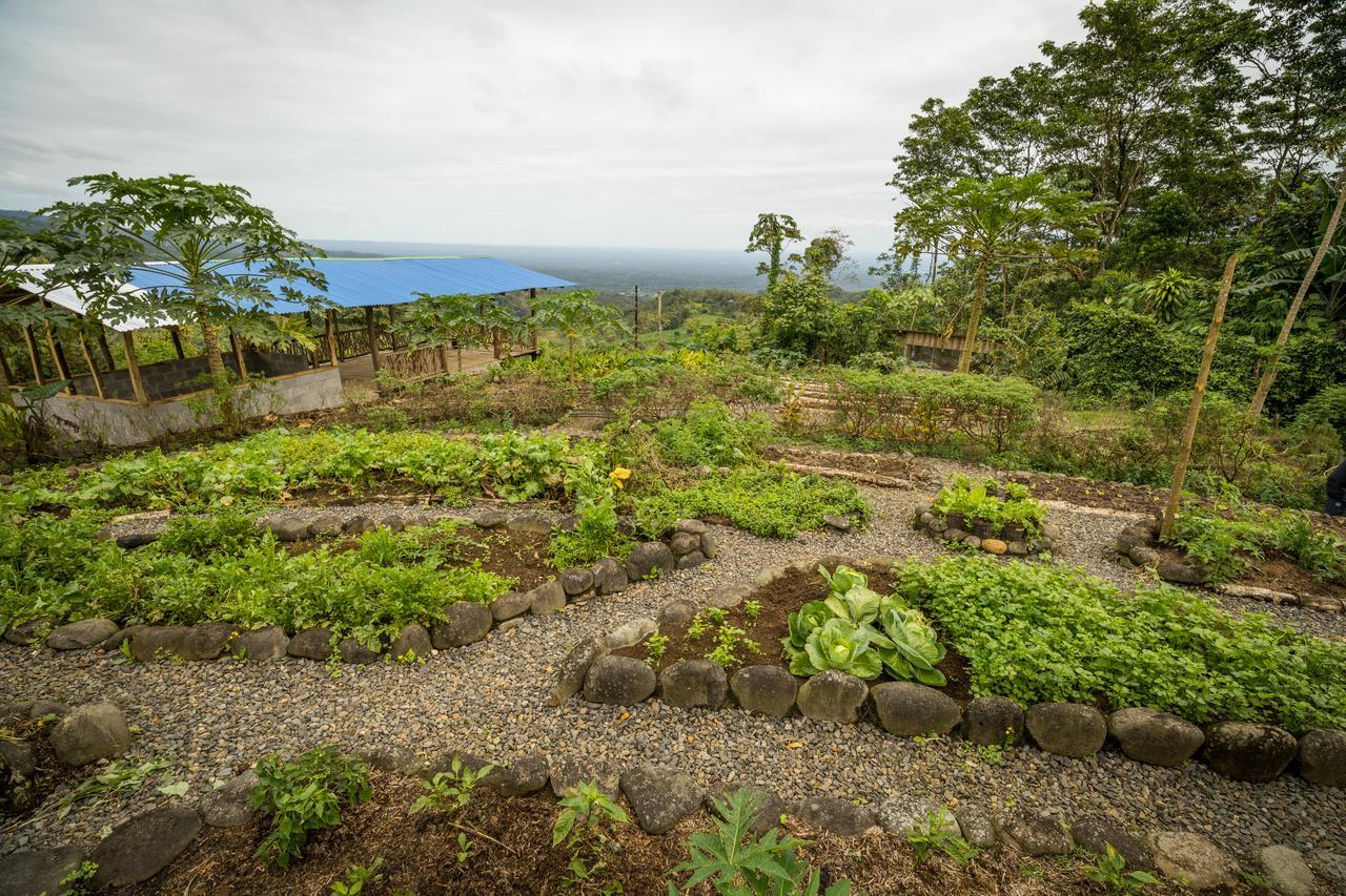 La Tigra Rainforest Lodge La Fortuna المظهر الخارجي الصورة