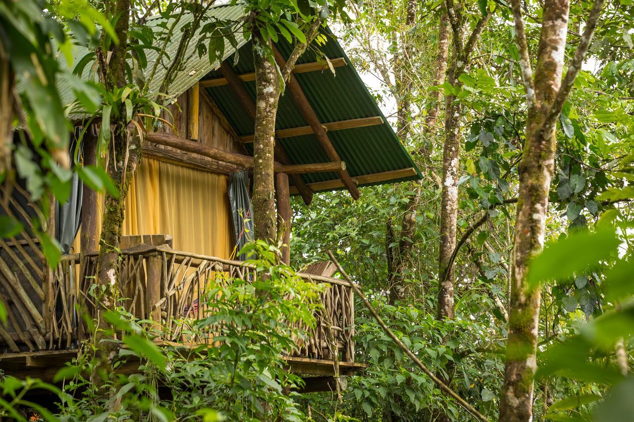 La Tigra Rainforest Lodge La Fortuna المظهر الخارجي الصورة