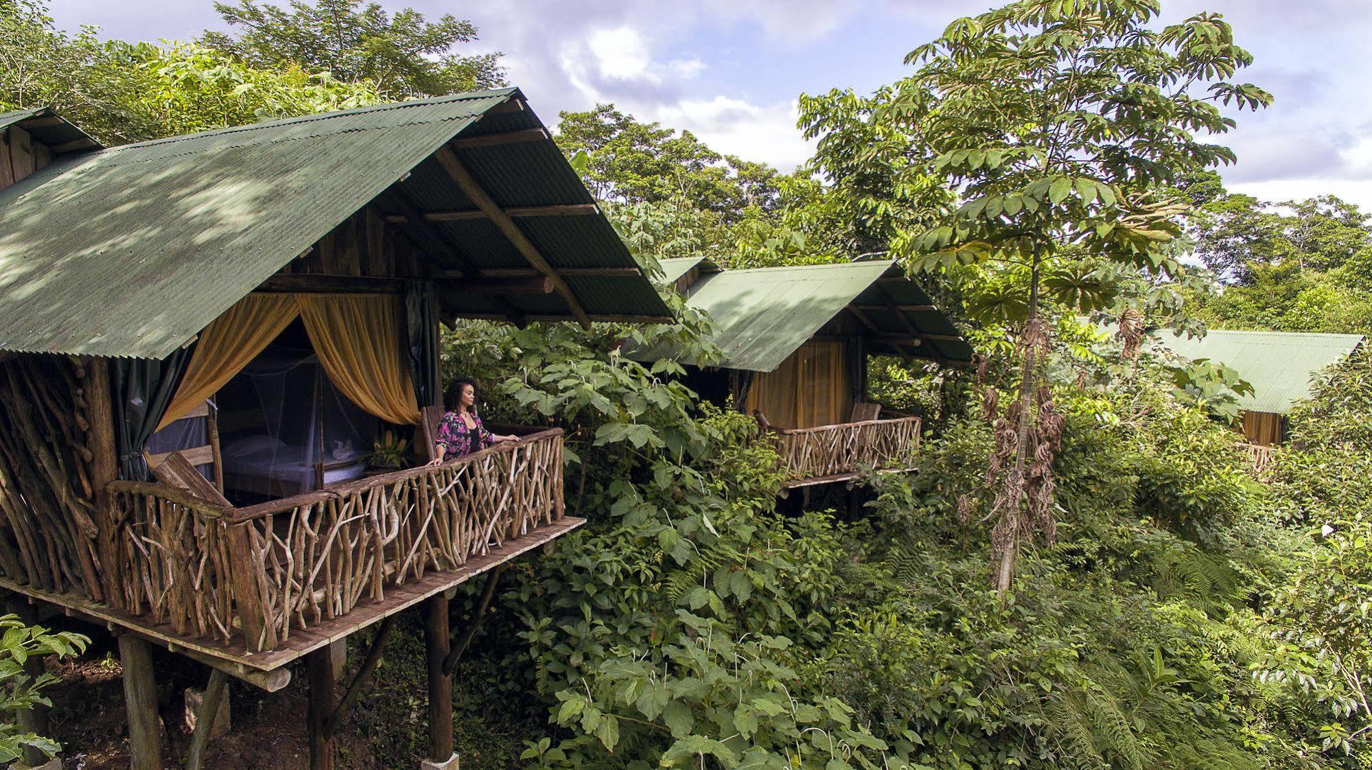 La Tigra Rainforest Lodge La Fortuna المظهر الخارجي الصورة